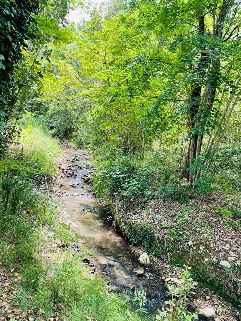 Mas Des Amarens Daire Malaucène Dış mekan fotoğraf