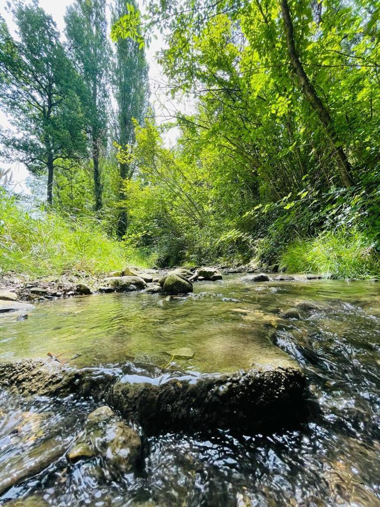 Mas Des Amarens Daire Malaucène Dış mekan fotoğraf